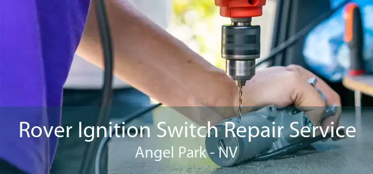 Rover Ignition Switch Repair Service Angel Park - NV
