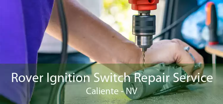 Rover Ignition Switch Repair Service Caliente - NV
