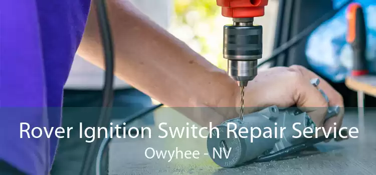 Rover Ignition Switch Repair Service Owyhee - NV