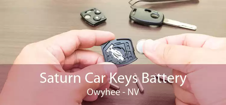 Saturn Car Keys Battery Owyhee - NV