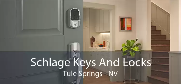 Schlage Keys And Locks Tule Springs - NV
