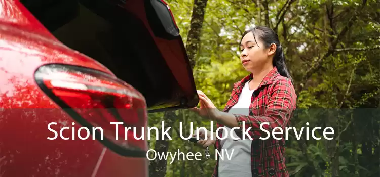 Scion Trunk Unlock Service Owyhee - NV