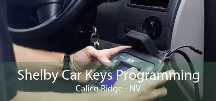 Shelby Car Keys Programming Calico Ridge - NV