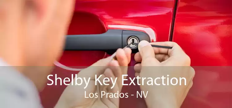 Shelby Key Extraction Los Prados - NV