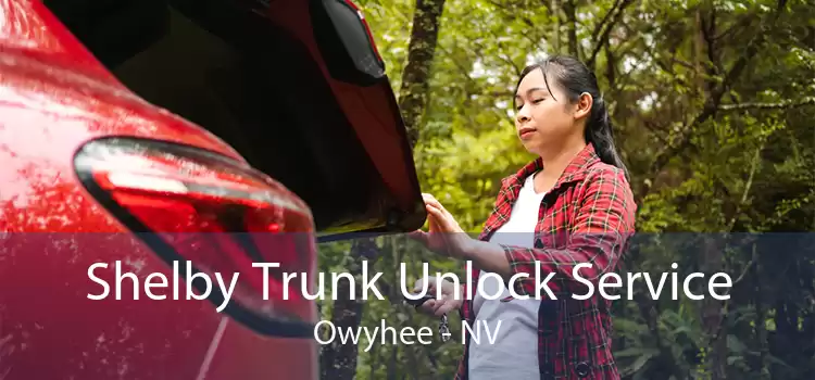 Shelby Trunk Unlock Service Owyhee - NV