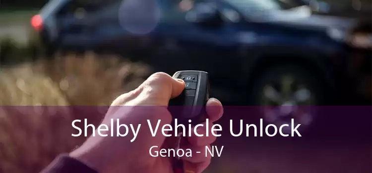 Shelby Vehicle Unlock Genoa - NV