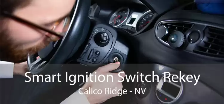 Smart Ignition Switch Rekey Calico Ridge - NV