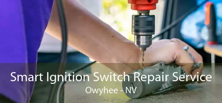 Smart Ignition Switch Repair Service Owyhee - NV
