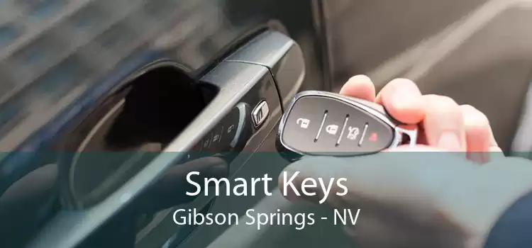 Smart Keys Gibson Springs - NV
