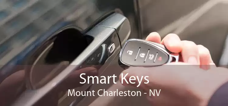 Smart Keys Mount Charleston - NV