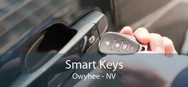 Smart Keys Owyhee - NV