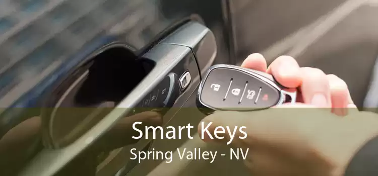 Smart Keys Spring Valley - NV