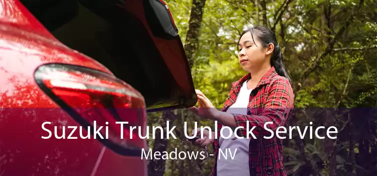 Suzuki Trunk Unlock Service Meadows - NV