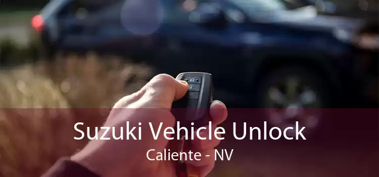 Suzuki Vehicle Unlock Caliente - NV