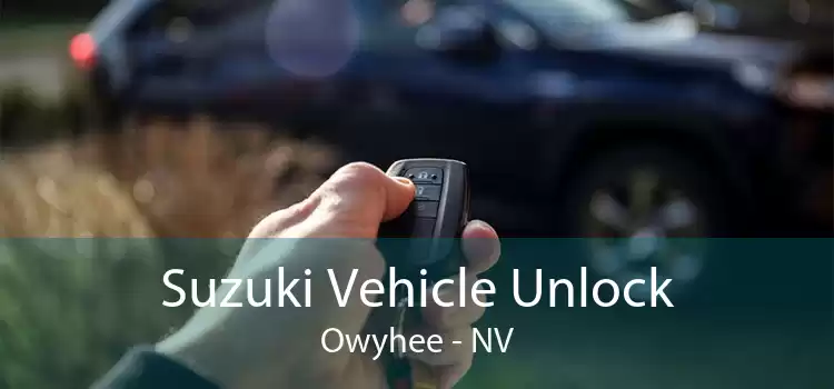 Suzuki Vehicle Unlock Owyhee - NV