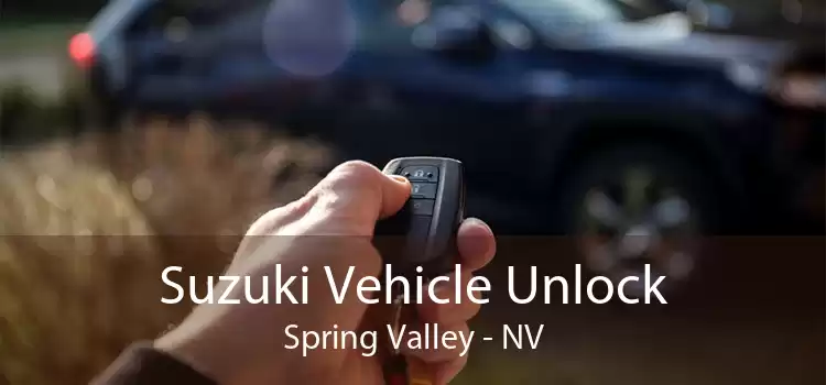 Suzuki Vehicle Unlock Spring Valley - NV