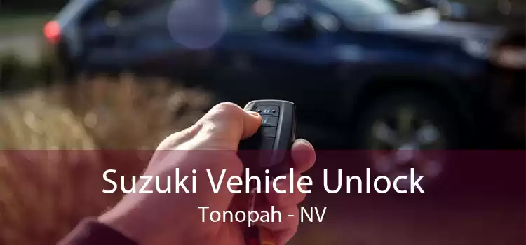 Suzuki Vehicle Unlock Tonopah - NV