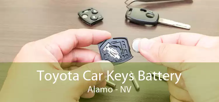 Toyota Car Keys Battery Alamo - NV