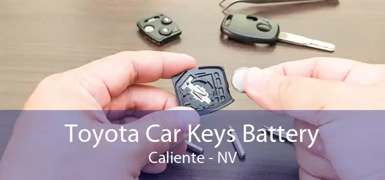 Toyota Car Keys Battery Caliente - NV