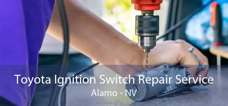 Toyota Ignition Switch Repair Service Alamo - NV