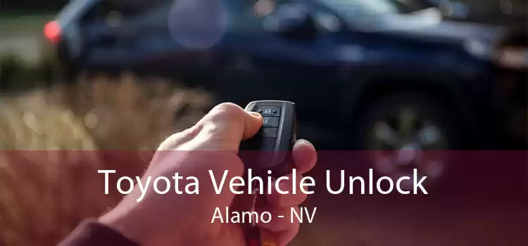 Toyota Vehicle Unlock Alamo - NV