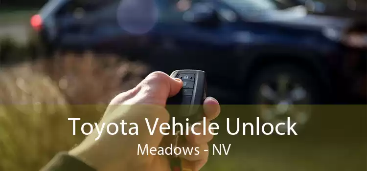 Toyota Vehicle Unlock Meadows - NV