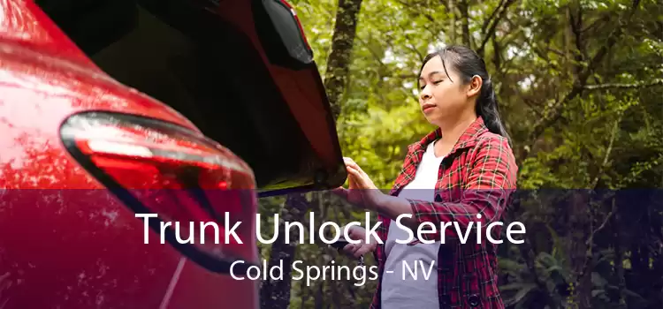 Trunk Unlock Service Cold Springs - NV