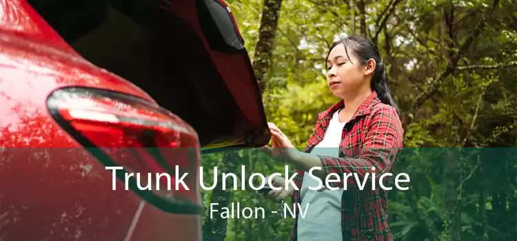 Trunk Unlock Service Fallon - NV