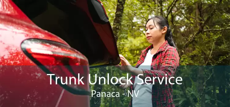 Trunk Unlock Service Panaca - NV