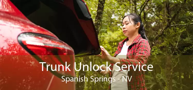 Trunk Unlock Service Spanish Springs - NV