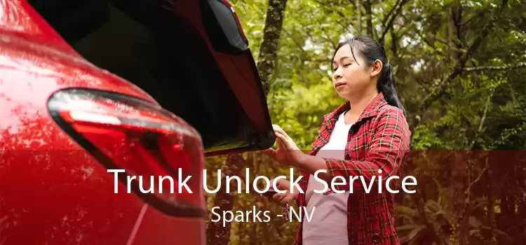 Trunk Unlock Service Sparks - NV