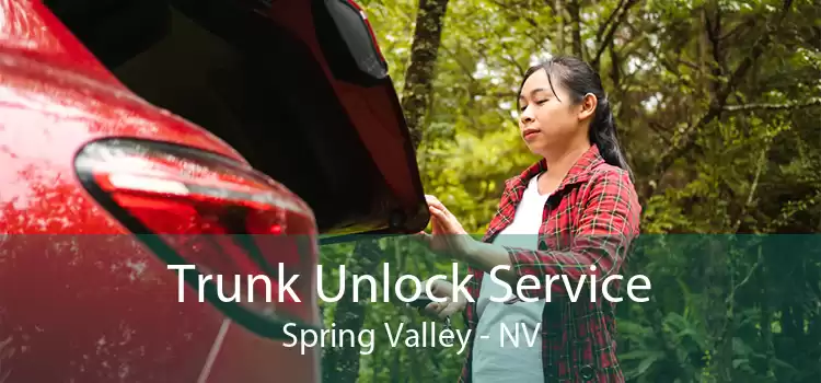 Trunk Unlock Service Spring Valley - NV