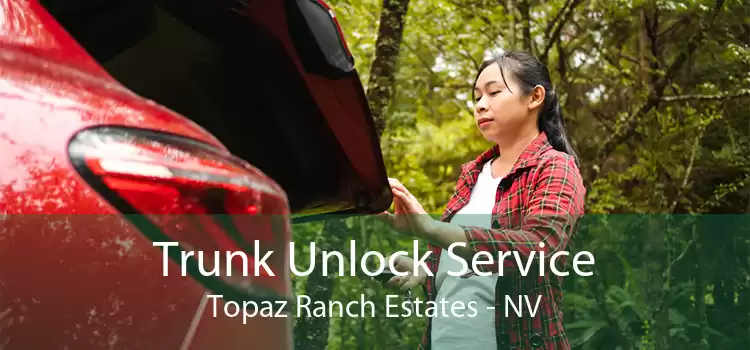 Trunk Unlock Service Topaz Ranch Estates - NV
