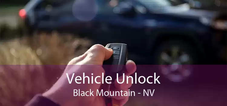 Vehicle Unlock Black Mountain - NV