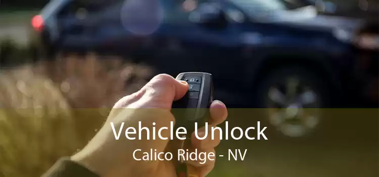 Vehicle Unlock Calico Ridge - NV
