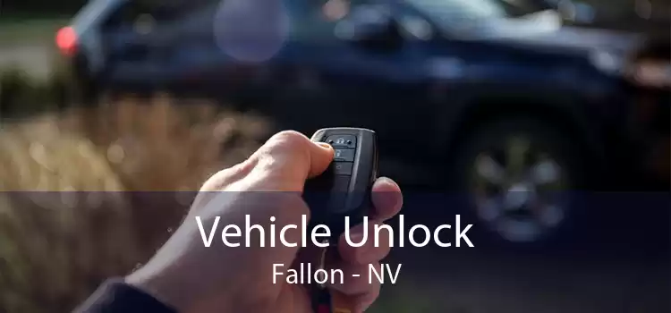 Vehicle Unlock Fallon - NV