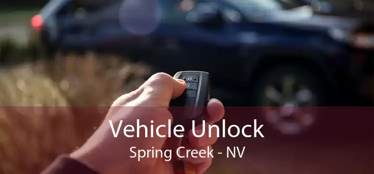 Vehicle Unlock Spring Creek - NV