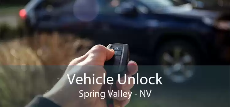 Vehicle Unlock Spring Valley - NV