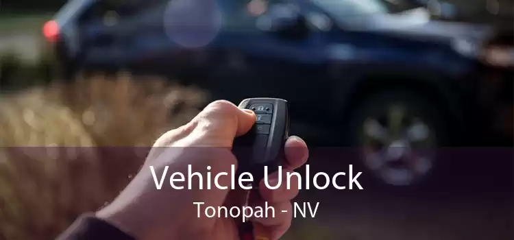 Vehicle Unlock Tonopah - NV