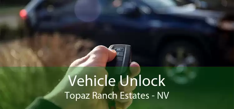 Vehicle Unlock Topaz Ranch Estates - NV