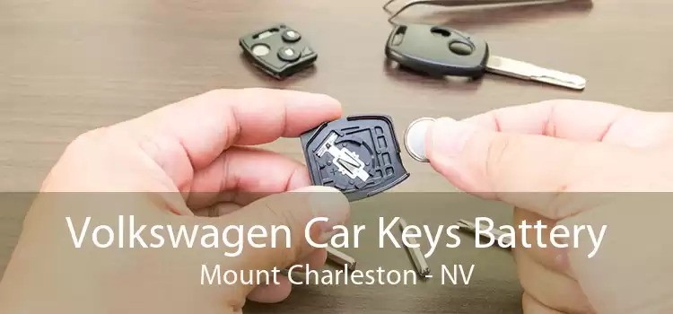 Volkswagen Car Keys Battery Mount Charleston - NV