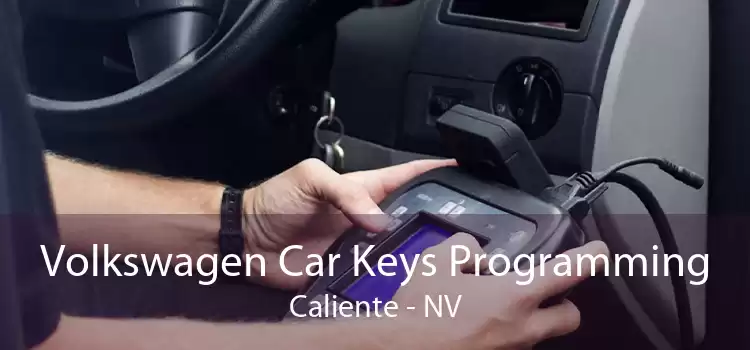 Volkswagen Car Keys Programming Caliente - NV
