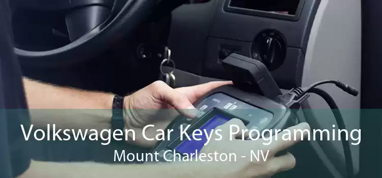 Volkswagen Car Keys Programming Mount Charleston - NV