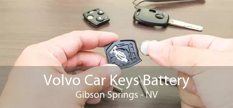 Volvo Car Keys Battery Gibson Springs - NV