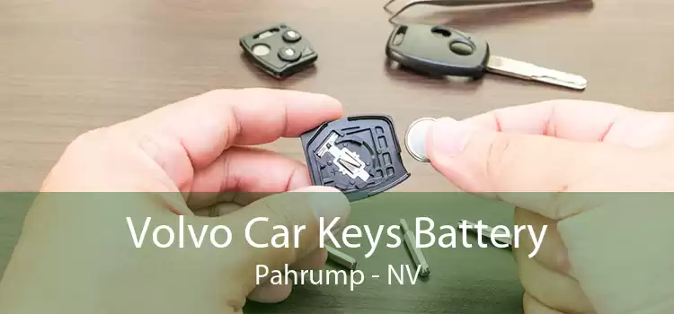 Volvo Car Keys Battery Pahrump - NV