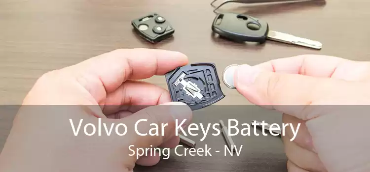 Volvo Car Keys Battery Spring Creek - NV