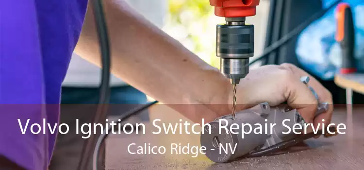 Volvo Ignition Switch Repair Service Calico Ridge - NV