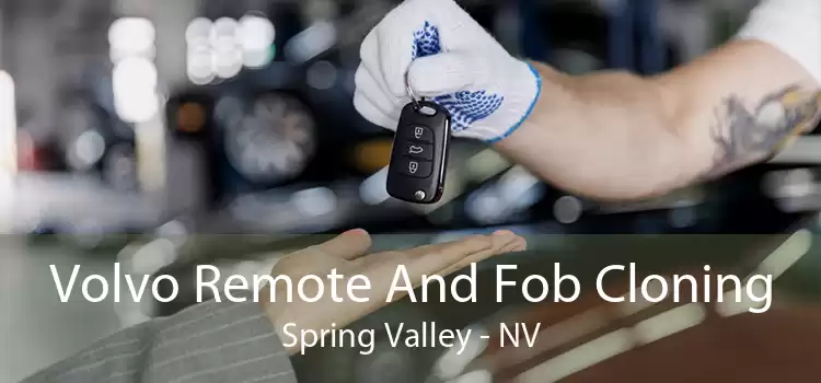 Volvo Remote And Fob Cloning Spring Valley - NV