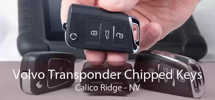 Volvo Transponder Chipped Keys Calico Ridge - NV