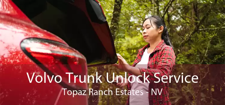 Volvo Trunk Unlock Service Topaz Ranch Estates - NV